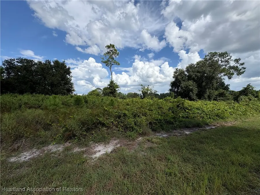 1043 Redbird Street, Lake Placid, FL 33852 - Image #3