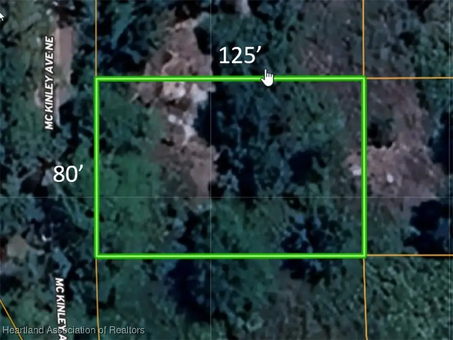 126 Mckinley Avenue, Lake Placid, FL 33852 - Image #2