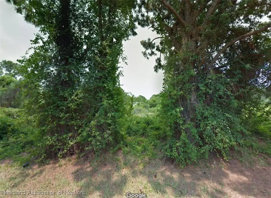 126 Mckinley Avenue, Lake Placid, FL 33852 - Image #3