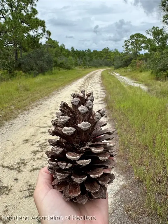 825 Neale Street, Lake Placid, FL 33852