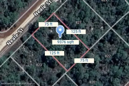 825 Neale Street, Lake Placid, FL 33852 - Image #2