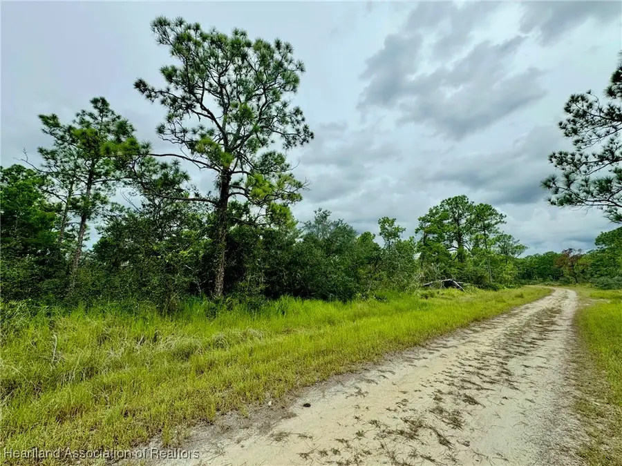 825 Neale Street, Lake Placid, FL 33852 - Image #3