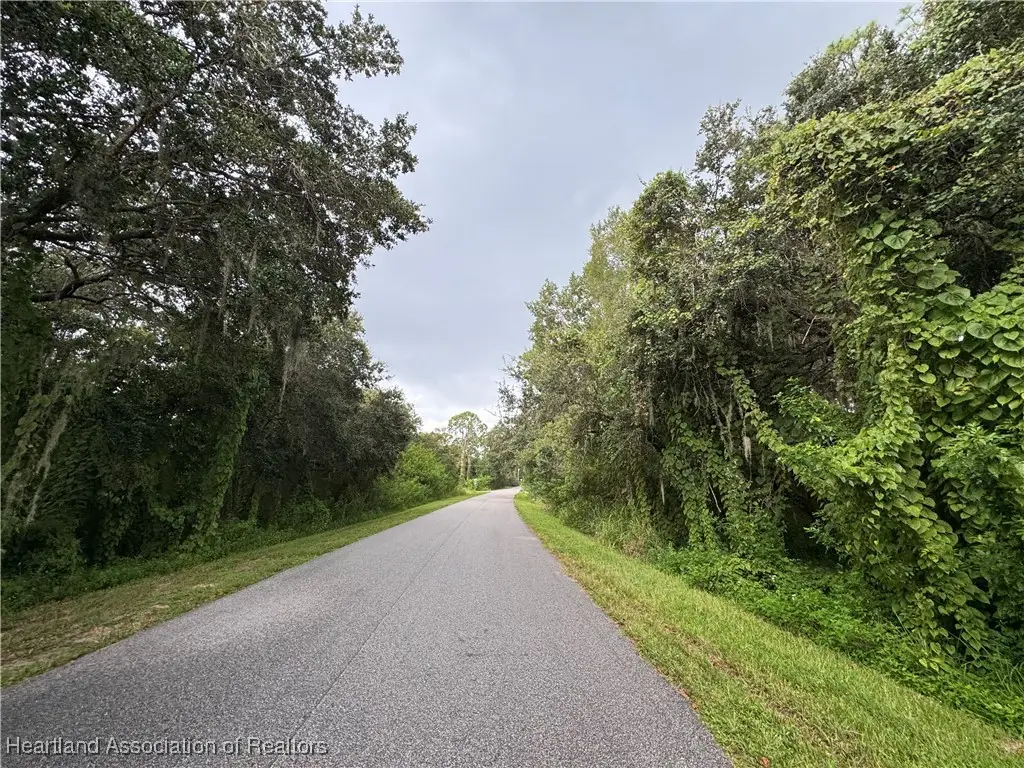 436 Jayhawk Avenue, Lake Placid, FL 33852 - #1