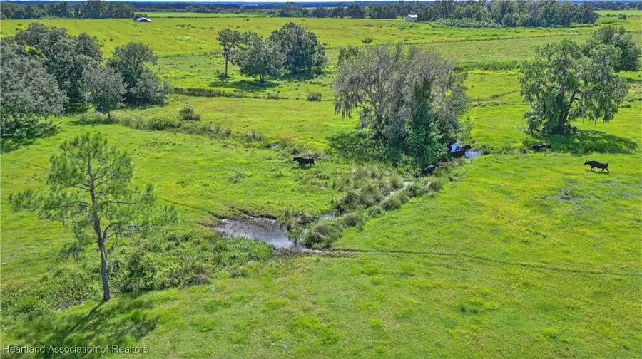 S Barlow Road, Zolfo Springs, FL 33890 - #3