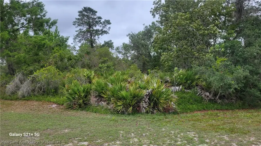 3217 Savannah Sparrow Avenue, Lake Placid, FL 33852 - Image #3