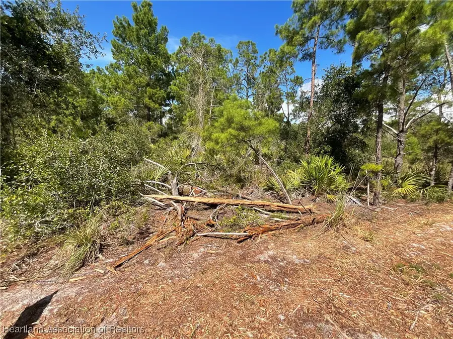 128 Devoe Avenue, Lake Placid, FL 33852 - Image #2