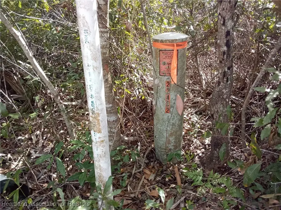 756 American Street Nw, Lake Placid, FL 33852 - Image #2