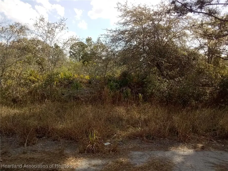 756 American Street Nw, Lake Placid, FL 33852 - Image #3