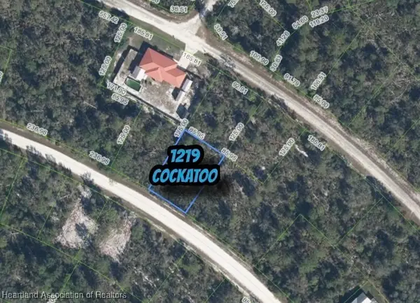 1219 Cockatoo Avenue, Lake Placid, FL 33852