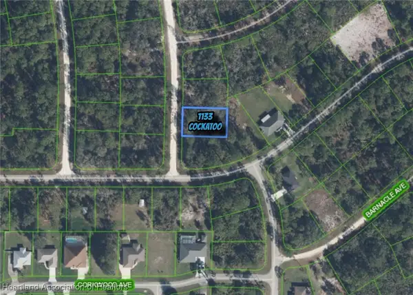 1133 Cockatoo Avenue, Lake Placid, FL 33852