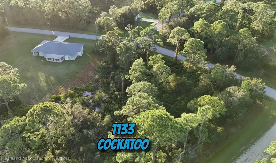 1133 Cockatoo Avenue, Lake Placid, FL 33852 - Image #2