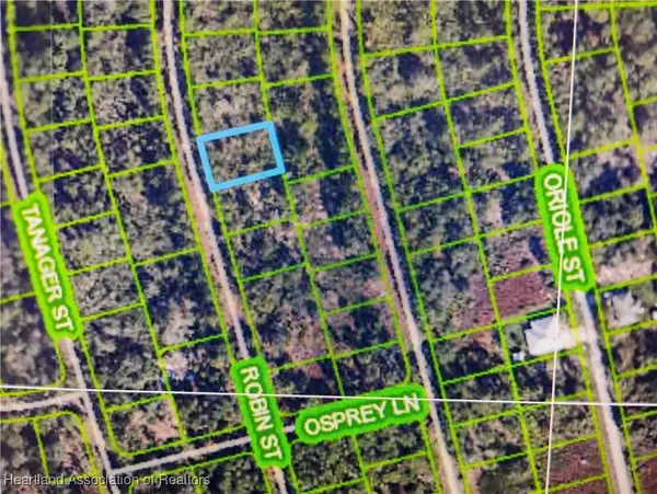 1053 Robin Street, Lake Placid, FL 33852