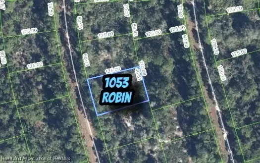 1053 Robin Street, Lake Placid, FL 33852 - Image #2
