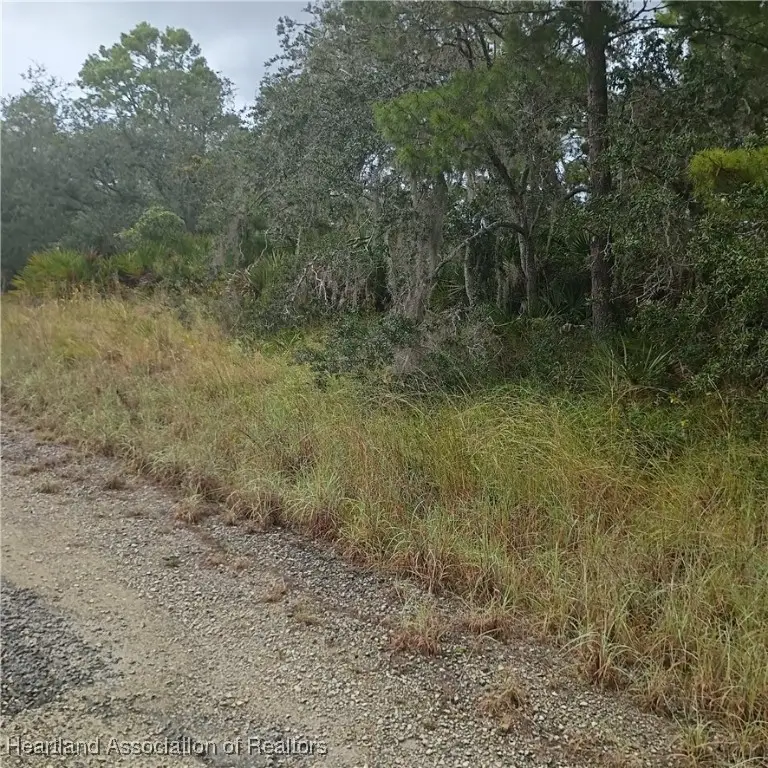 3220 Wilsons Warbler Avenue Nw, Lake Placid, FL 33852 - Image #3