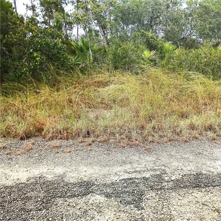 3222 Wilsons Warbler Avenue, Lake Placid, FL 33852 - Image #3