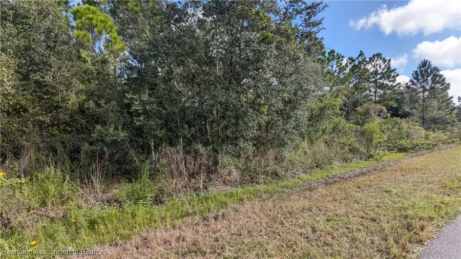 3347 Lake June Boulevard, Lake Placid, FL 33852 - Image #3