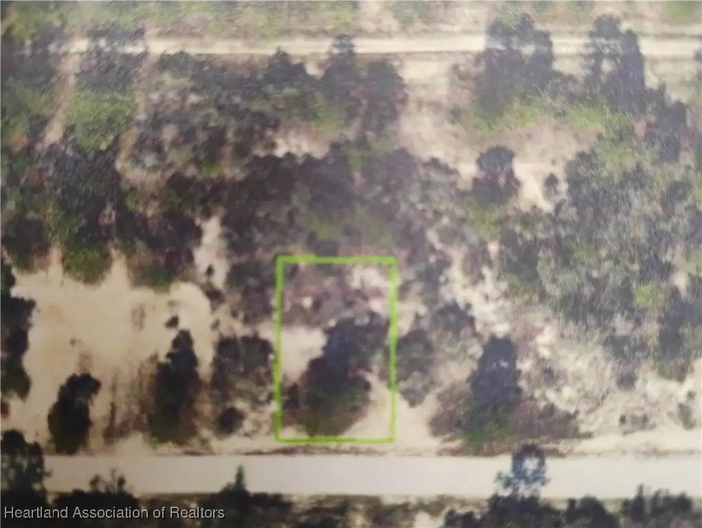 426 Blue Moon Avenue, Lake Placid, FL 33852 - Image #1