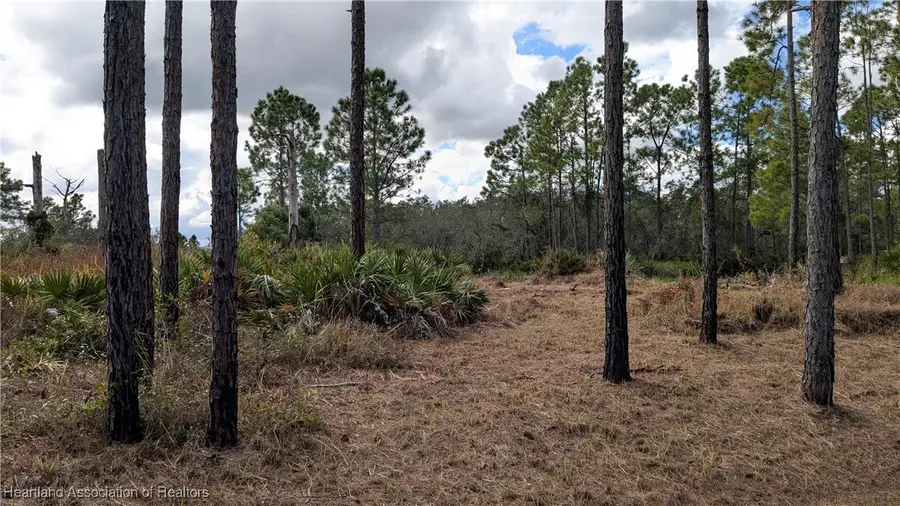 8237 Domineco Street, Sebring, FL 33872 - Image #3