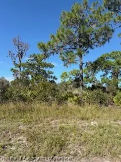 2032 Washington Boulevard Nw, Lake Placid, FL 33852 - Image #1