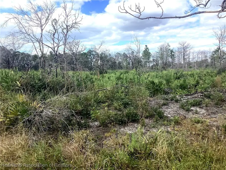 3521 Santona Avenue, Lake Placid, FL 33852 - Image #2