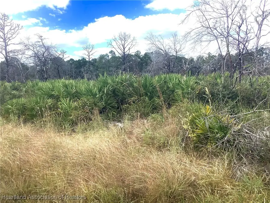 3521 Santona Avenue, Lake Placid, FL 33852 - Image #3