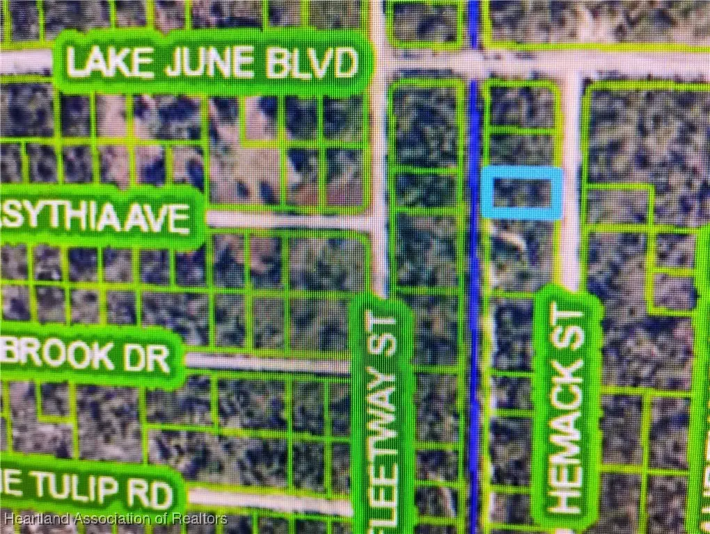 959 Hemack Street, Lake Placid, FL 33852 - Image #1