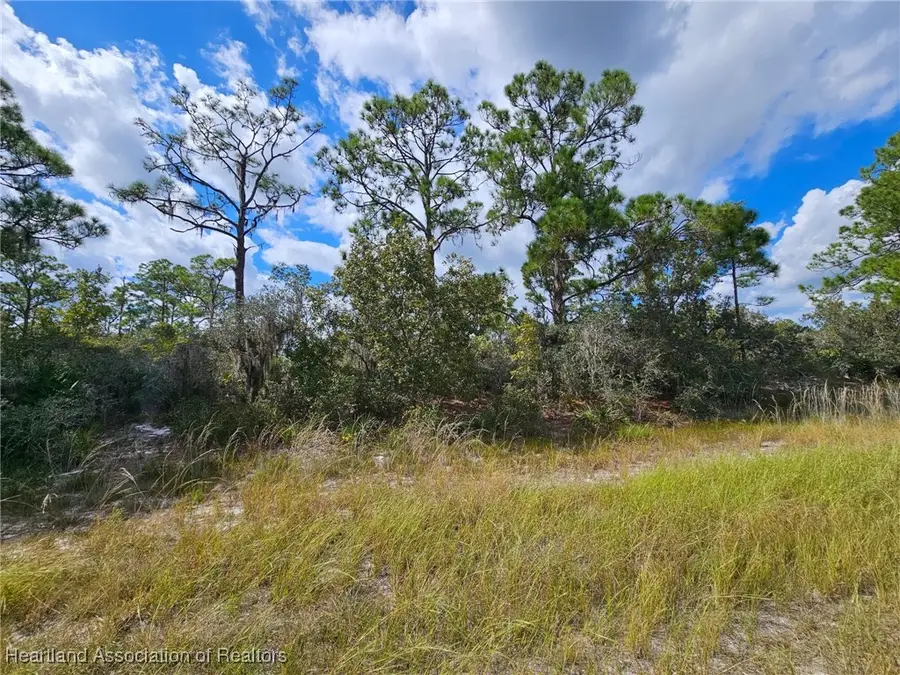 111 Larson Street Nw, Lake Placid, FL 33852 - Image #3