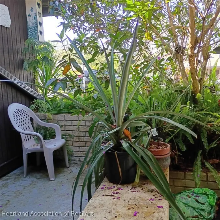 41 Jasmine Street, Lake Placid, FL 33852 - Image #3