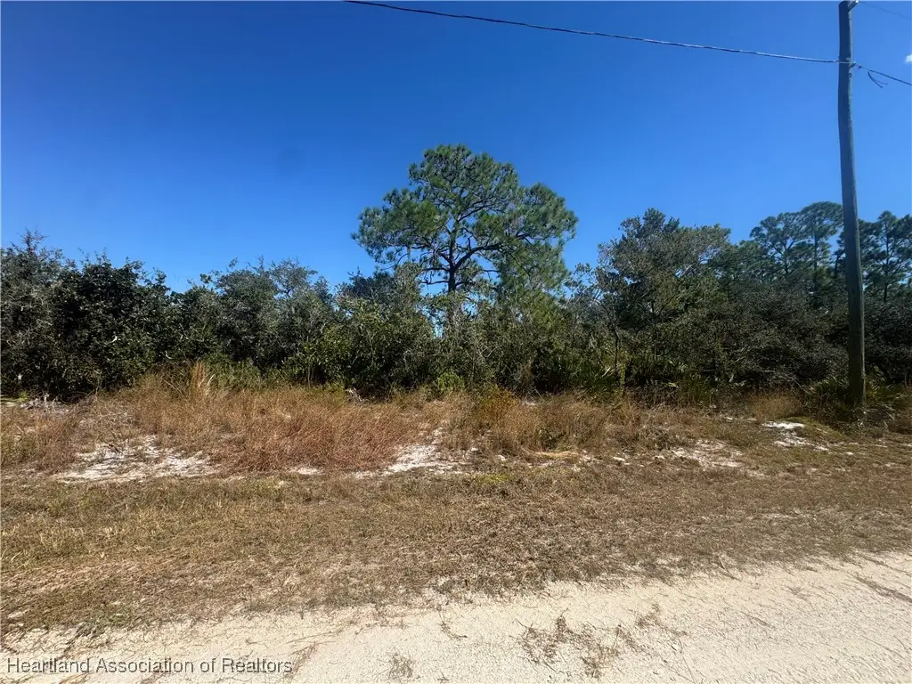 1203 Cockatoo Avenue, Lake Placid, FL 33852 - Image #1