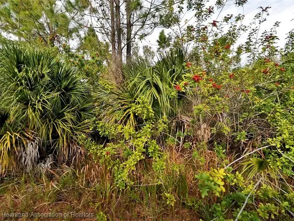 Farmington Avenue, North Port, FL 34288