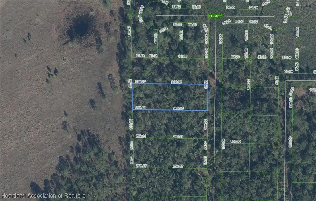 4705 Rhubarb Street, Sebring, FL 33875 - #1