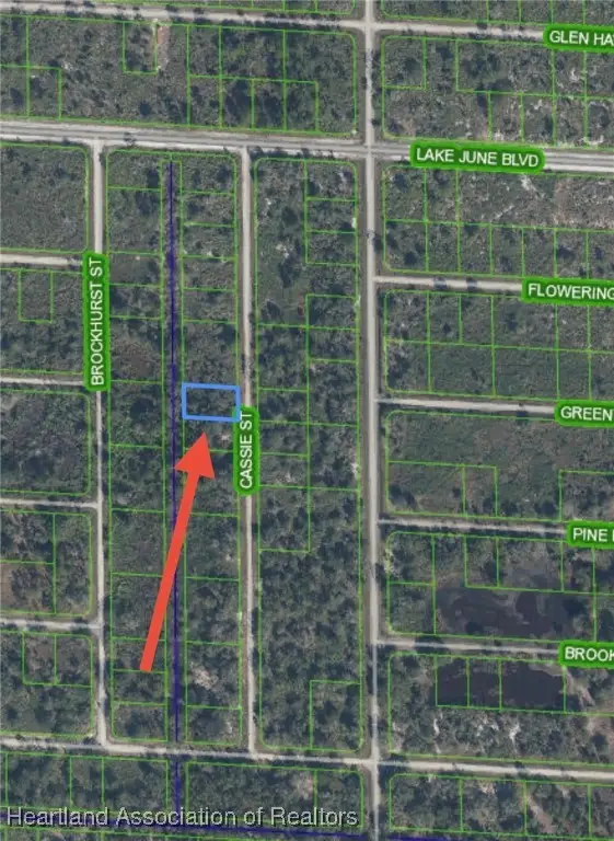 940 Cassie Street, Lake Placid, FL 33853