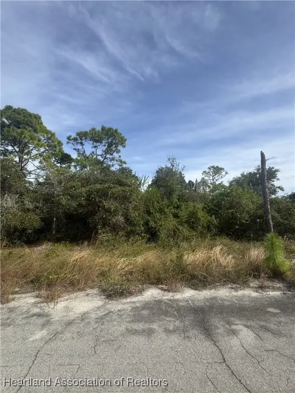 208 Gasparilla Way Ne, Lake Placid, FL 33852 - Image #3