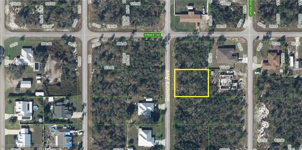 436 Sonora Avenue, Lake Placid, FL 33852 - Image #1