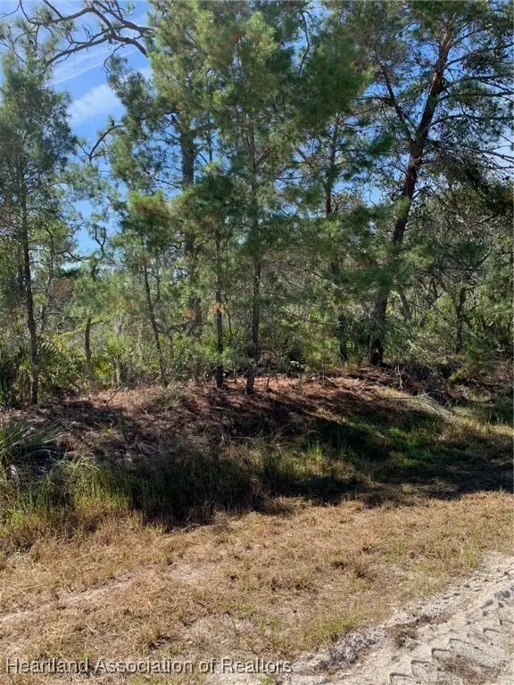 1224 Cockatoo Avenue, Lake Placid, FL 33852 - Image #2