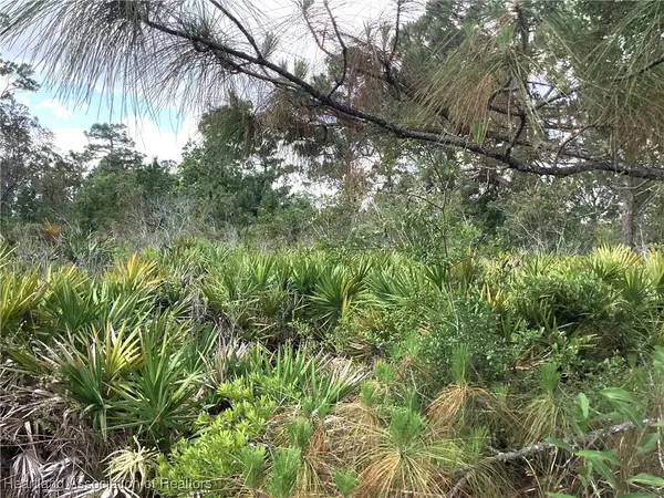 338 Piper Street Nw, Lake Placid, FL 33852