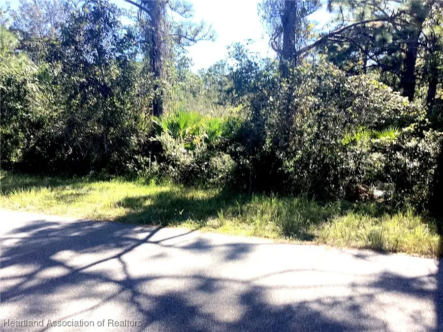 338 Piper Street Nw, Lake Placid, FL 33852 - Image #3