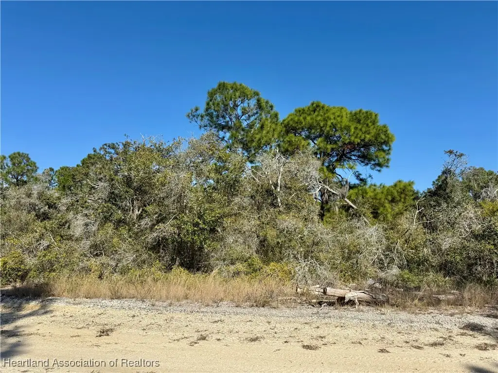 404 Sunshine Avenue, Lake Placid, FL 33852 - Image #1