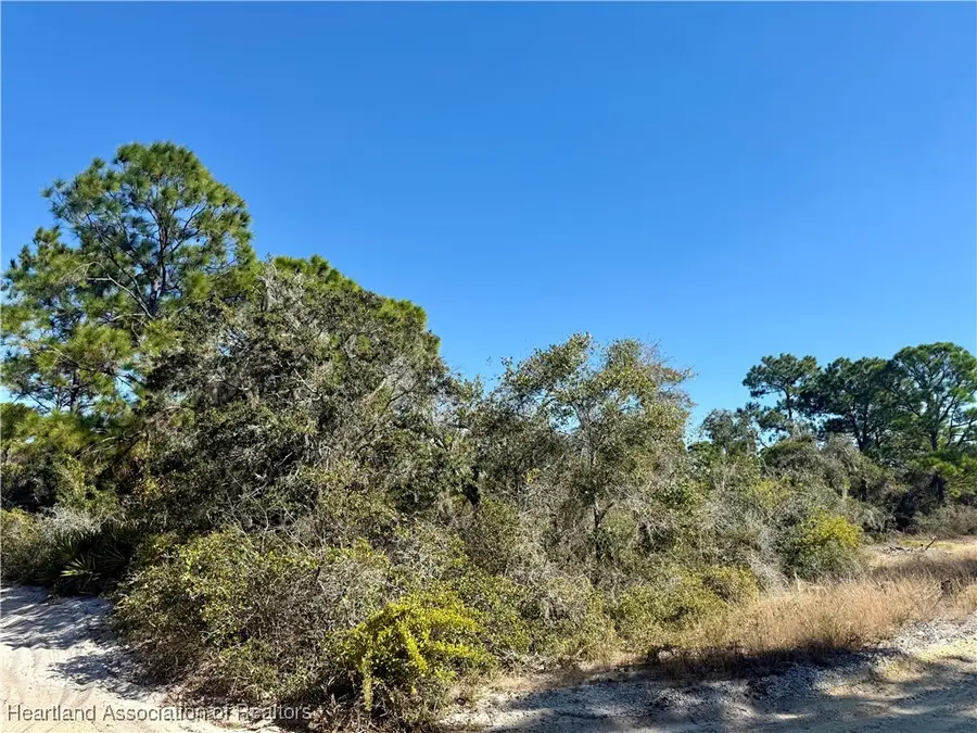 404 Sunshine Avenue, Lake Placid, FL 33852 - Image #3