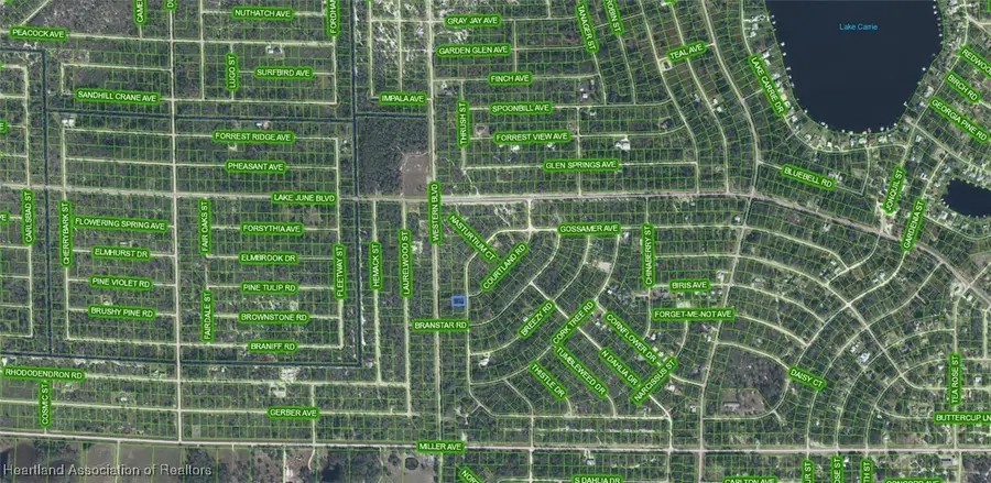 3292 Gossamer Avenue, Lake Placid, FL 33852 - #3