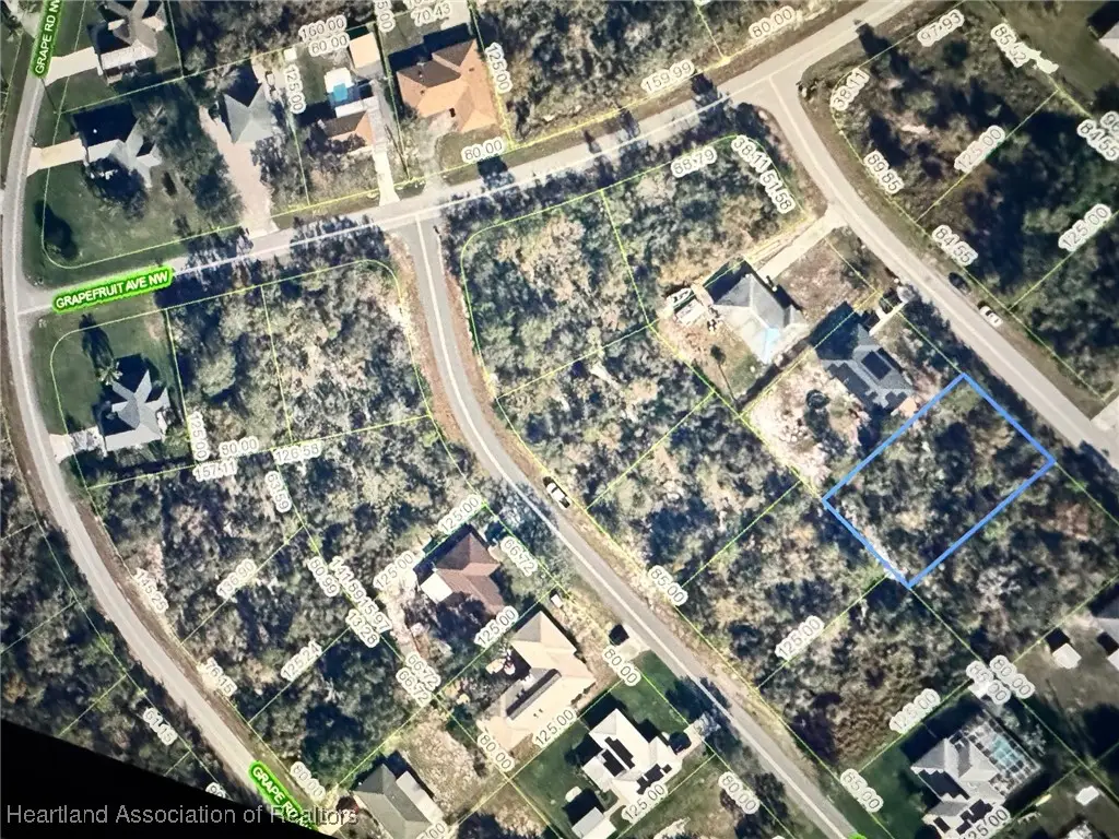 270 Loquat Road Nw, Lake Placid, FL 33852 - Image #1