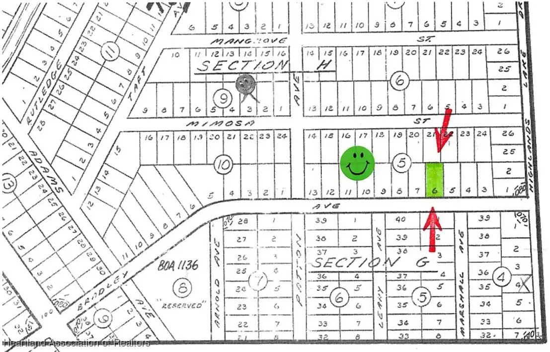 1516 Bradley Avenue, Lake Placid, FL 33852 - Image #1