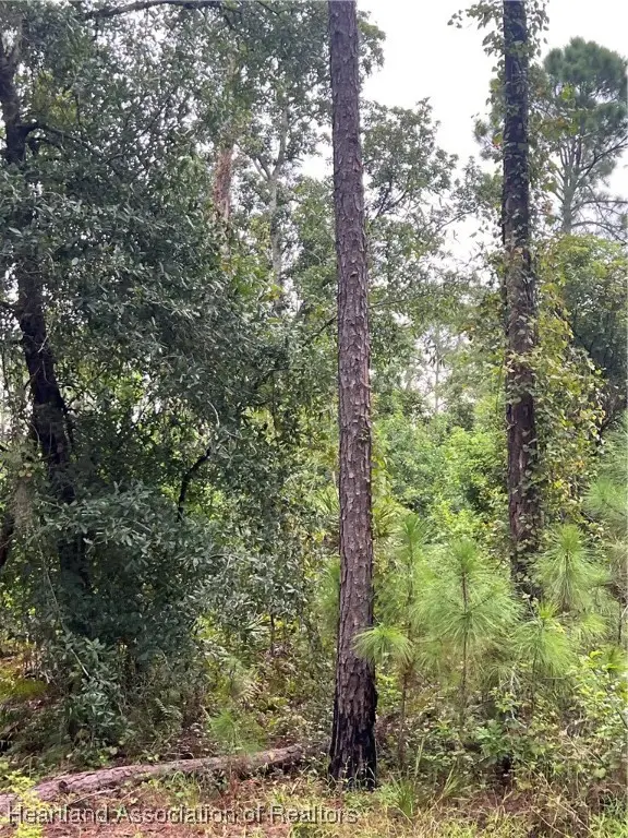 4415 Gerona Avenue, Sebring, FL 33872 - Image #2