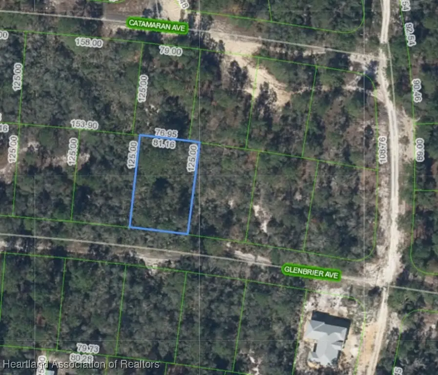 334 Glenbrier Avenue, Lake Placid, FL 33852 - Image #1