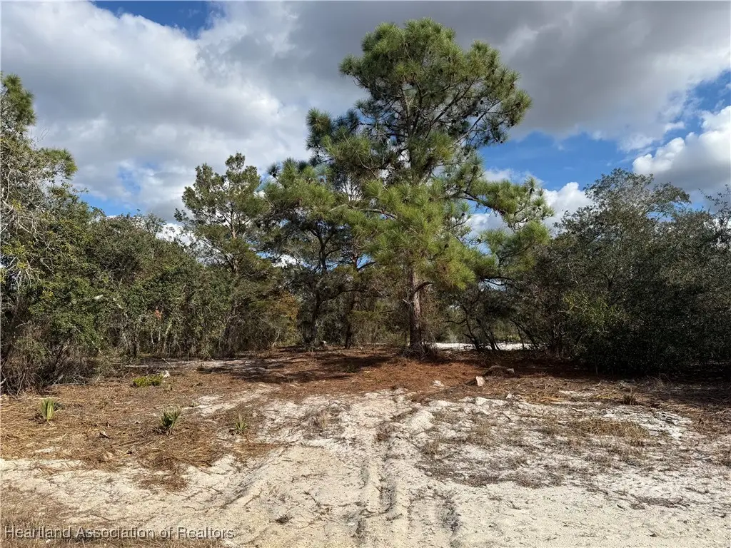 642 Lake Tina Drive, Lake Placid, FL 33852 - Image #1