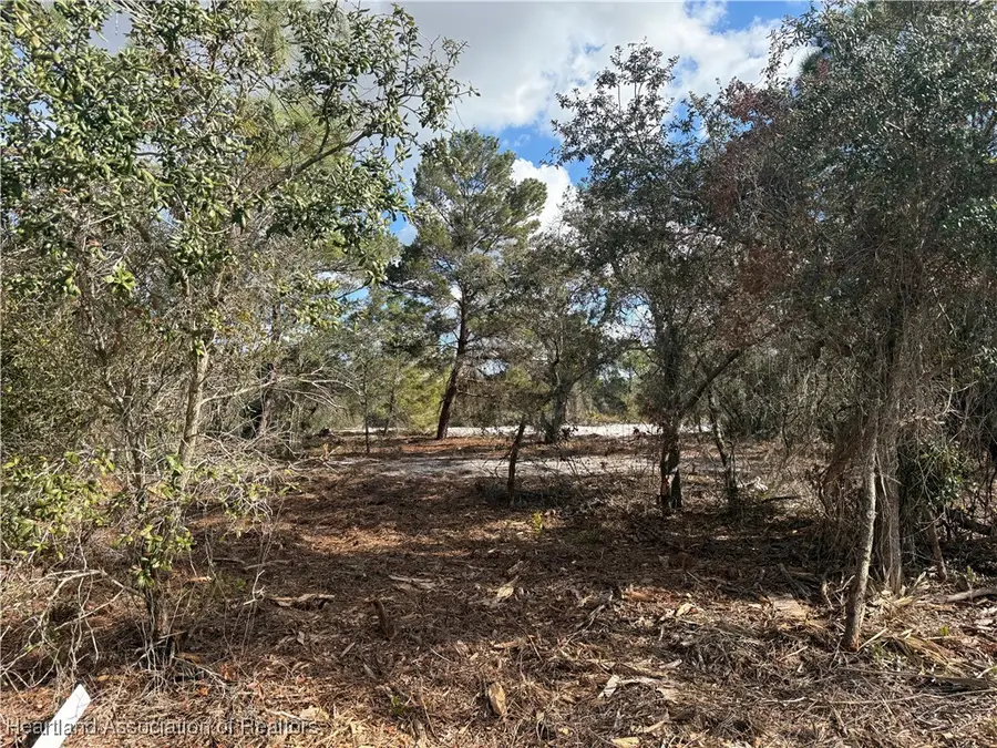 642 Lake Tina Drive, Lake Placid, FL 33852 - Image #3