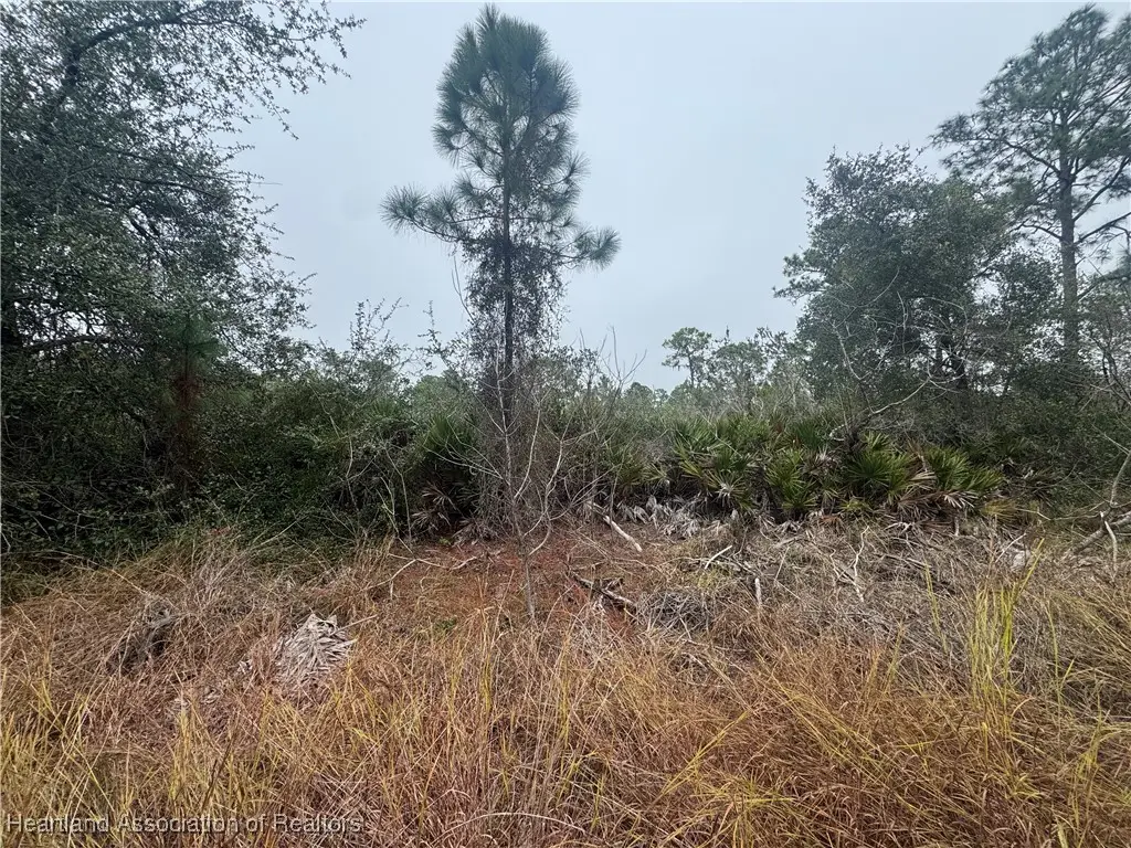 3137 Cedar Grove Avenue, Lake Placid, FL 33852 - Image #1