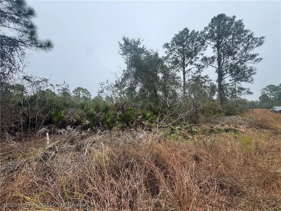 3137 Cedar Grove Avenue, Lake Placid, FL 33852 - Image #2