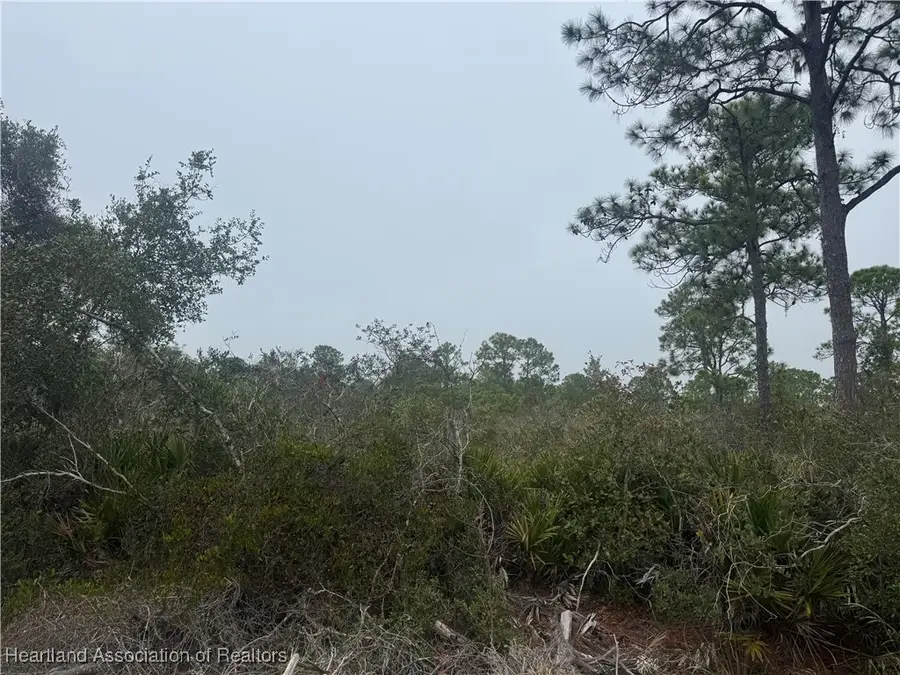 3137 Cedar Grove Avenue, Lake Placid, FL 33852 - Image #3