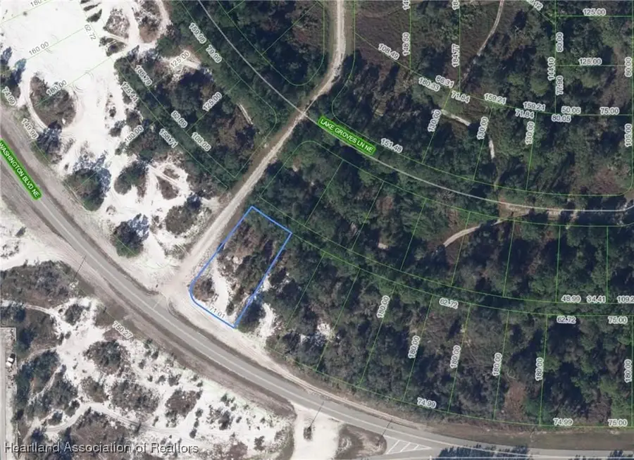 220 Washington Boulevard Ne, Lake Placid, FL 33852 - Image #2